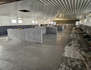 Rekonstrukce haly chovu prasat